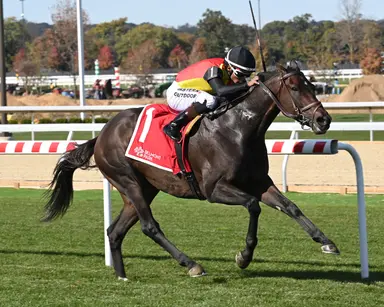 Sounds Like a Plan breezes to easy Mohawk victory
