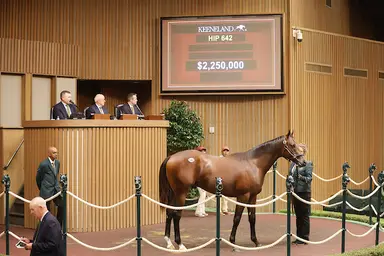 Keeneland September continues robust sales on Day 3; $2.55M Nyquist colt sets session record 