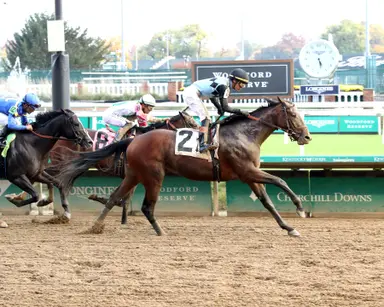 Mesquite off the Kentucky Derby trail with injury