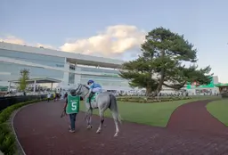 Derby preps, Suburban among stakes moved to Belmont synthetic track