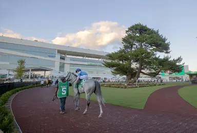Derby preps, Suburban among stakes moved to Belmont synthetic track