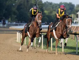 Weekend GamePlan for Sept. 19, 2026: Picks for Pennsylvania Derby, Cotillion, Dogwood