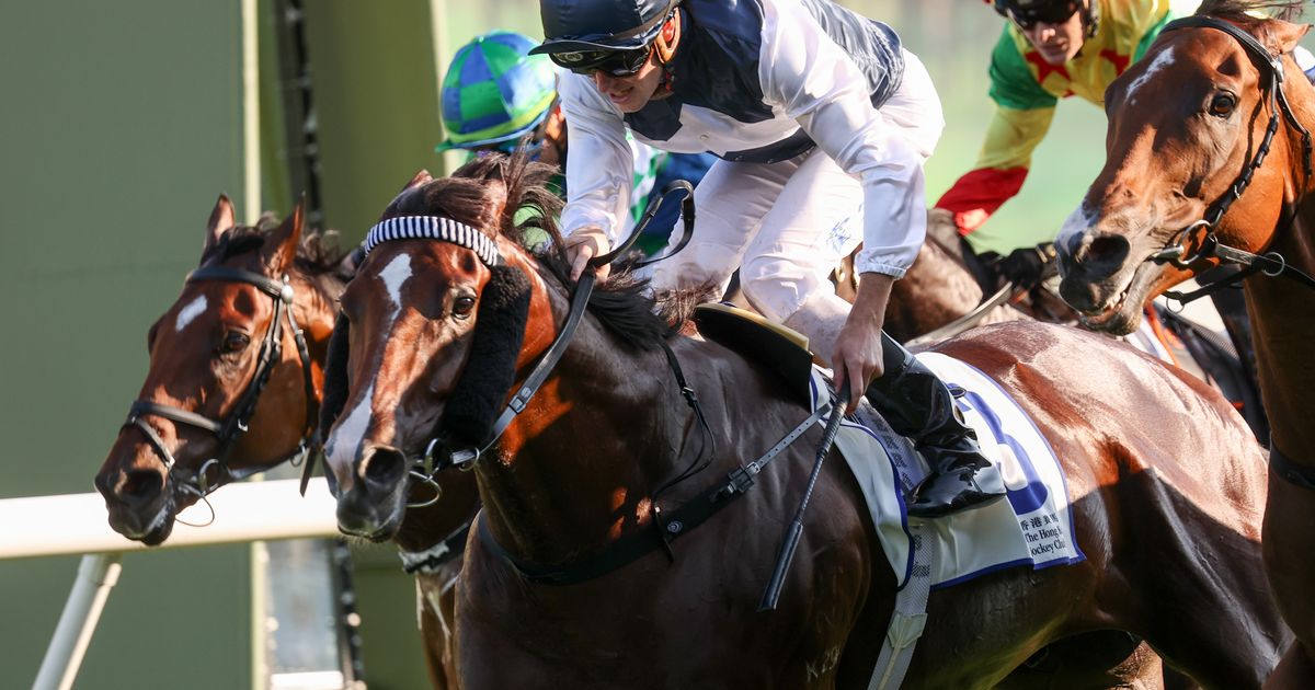 Invincible Ibis in stunning return with G3 Celebration Cup triumph ...