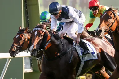 Invincible Ibis in stunning return with G3 Celebration Cup triumph, Nichola Yuen slots treble