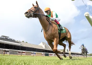 Weekend GamePlan: Picks for the Take the A Train, Siren Lure, Royal Palm Juvenile Fillies