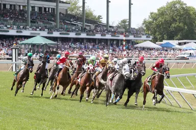 DRF's Horse Racing Playbook for Saturday, April 27