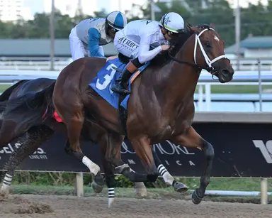 Ron Gierkink's mandatory-payout Rainbow 6 play for Pegasus World Cup Day