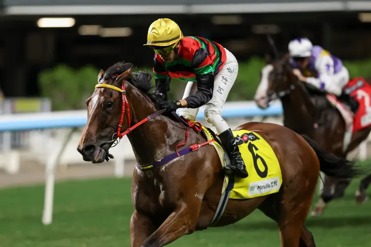 Fortunate Son/Happy Valley