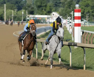Renegade, Antiquarian lead busy morning of works for Pletcher