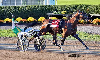 Delaware County Fair:  Redland Rocket Man reigns supreme in Grade 1 Little Brown Jug