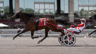 The Meadows:  Hanover-breds clean up in Pennsylvania Sire Stakes