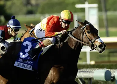 Saratoga Special ready to show her best in Daisycutter Handicap