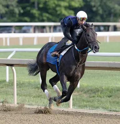 Up against Flight Command, Booked seeks hat trick in Saratoga Special