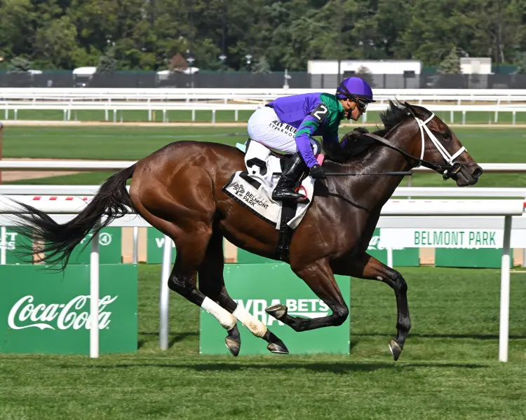 scalene the bertram f bongard credit susie raisher