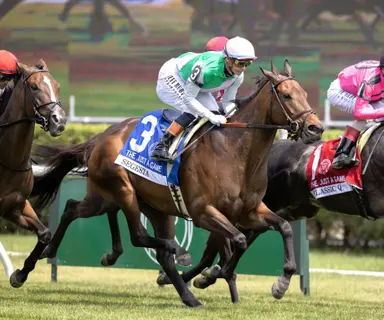 Heavily favored Segesta begins three-race plan in Ballston Spa