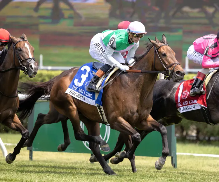 Segesta (not winner) during Just a Game at SAR June 6 2026