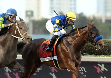 Spendthrift acquires breeding rights to National Treasure