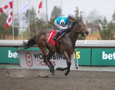 Odds-on Minimum Forty will be tough to catch