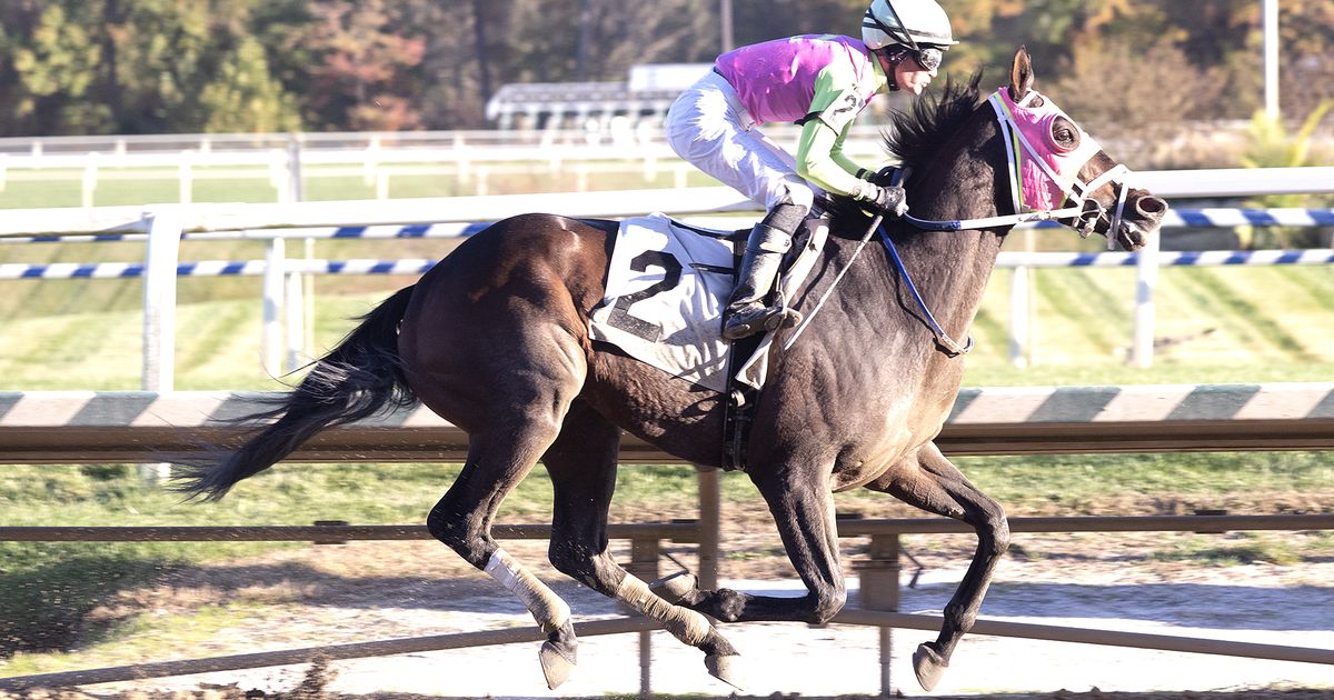 Barbadian Runner shows his toughness in Maryland Million Classic