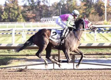 Barbadian Runner shows his toughness in Maryland Million Classic