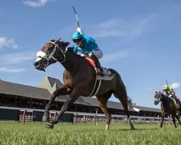 Flightline sires first stakes winner as Go for Launch upsets Bolton Landing