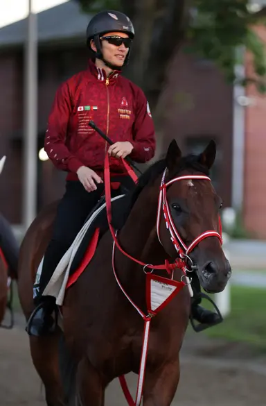 All eyes on Forever Young as Jockey Club Gold Cup begins new era at Belmont