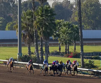 Saturday program will feature pick six carryover of $13,146
