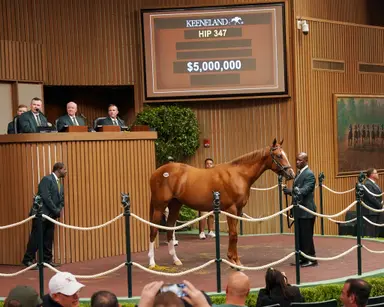 Keeneland September sale: Pope goes to $5 million for full brother to Clairiere