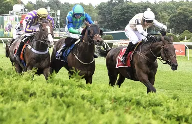 Mr Percy digs in late to take Jonathan Sheppard