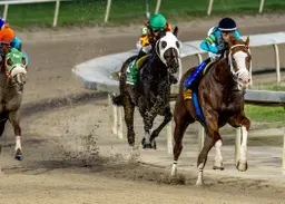 Sharp leaning toward Indiana Derby with Creole Chrome after blowout win