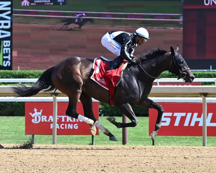 Papa Yo01.8.7.26.ACNY