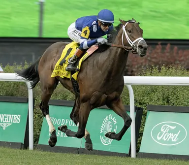 Absence of Stark Contrast leaves Belmont Derby wide open