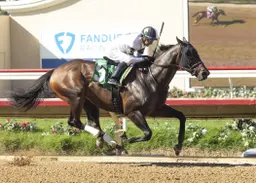 Arrowthegreat sharp in comeback win