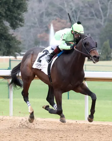 Bricklin decision: Arkansas Derby, or Hot Springs Stakes?