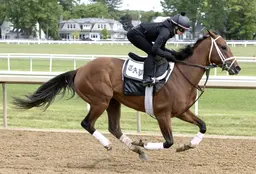 Belmont 2026: Renegade draws post 4 in field of nine, installed as 2-1 favorite