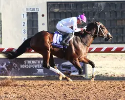 Tight Canadian connections have Heroic Move eyeing Cornhusker Handicap