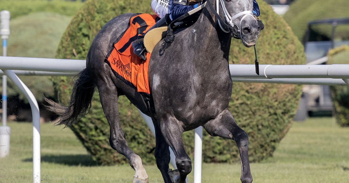 Siyouincanada makes it look easy in Gio Ponti score