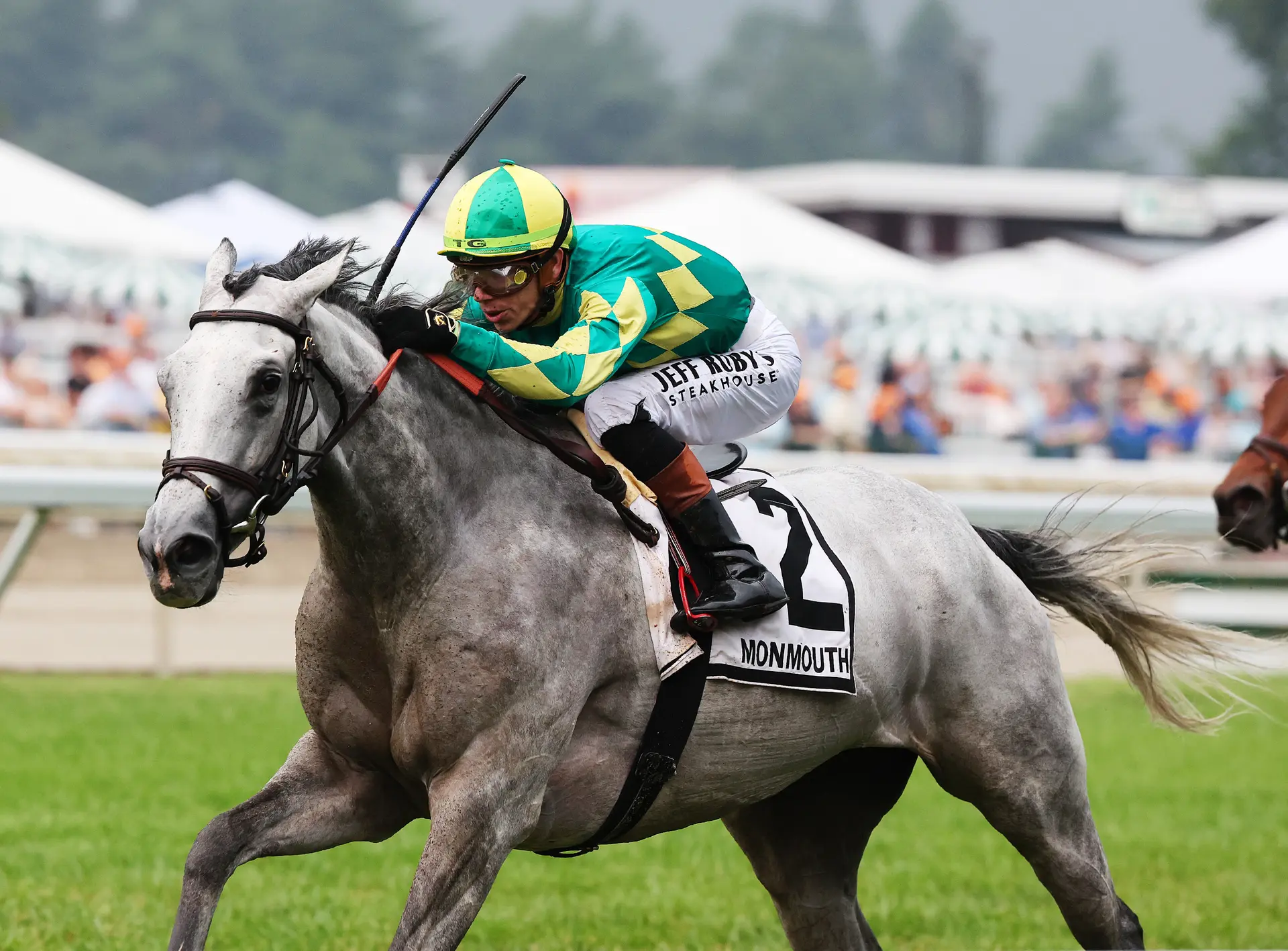 Grayosh, Mischief in Motion square off again in Athenia Stakes