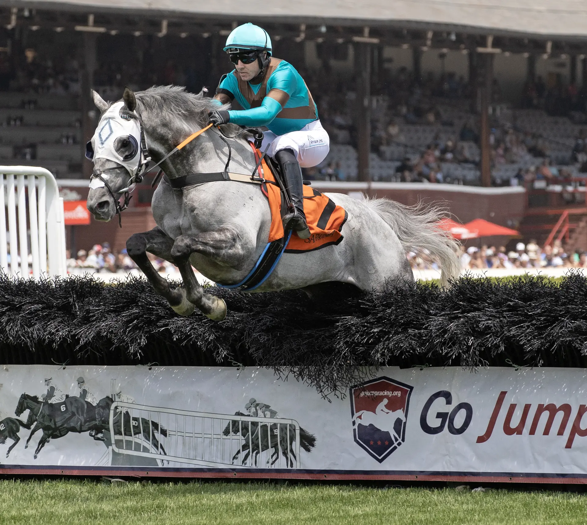 Elliott brings another top contender for American Grand National in Western Fold