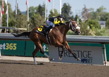 Highwaytothemoon handles two turns in Plate Trail