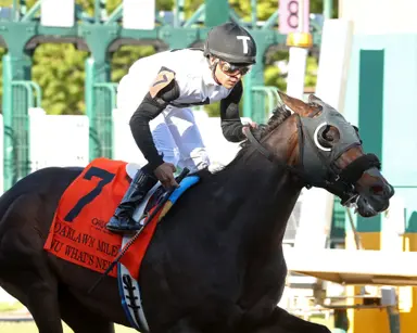 Oaklawn Mile winner Nu What's New possible for Alysheba