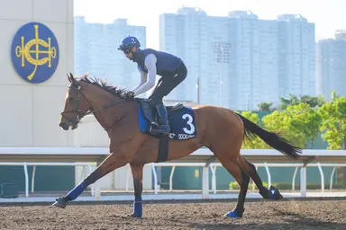 Harry Eustace carries high hopes in Docklands