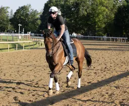 Doncho could be the elite speed in Troy