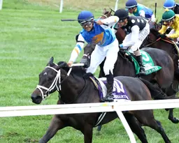 Serena's Ghost overcomes eventful trip to win Jessamine