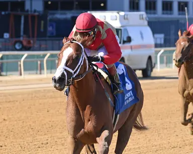 Antiquarian runs away with Westchester Stakes