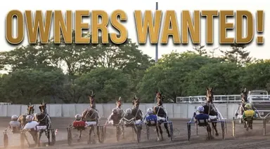 Harness: Parham's innovative plan for horse "ownership"