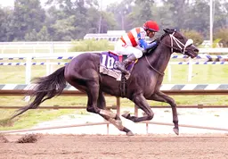 Moquett finds meaning in Hymn's Frank J. De Francis Memorial Dash victory