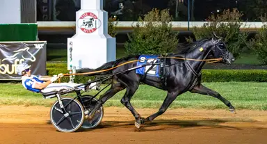 Red Mile: Wallin looks to Inexpressable in bid for a second Kentucky Futurity