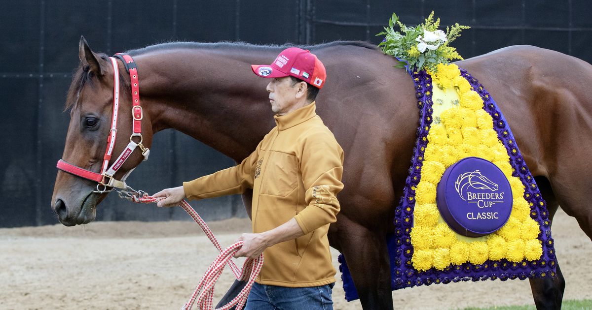 Forever Young gets first feel for Belmont ahead of Jockey Club Gold Cup