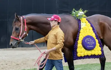 Forever Young gets first feel for Belmont ahead of Jockey Club Gold Cup